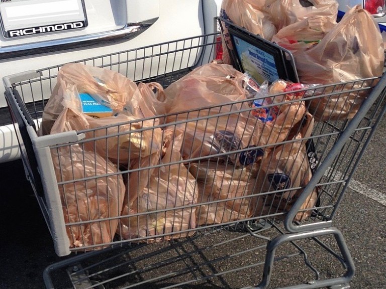 Studies have found that U.S. shoppers take home 100 billion plastic bags a year, with most winding up in landfills, where they can take 1,000 years to decompose. (Wikimedia Commons/Peteruetz)