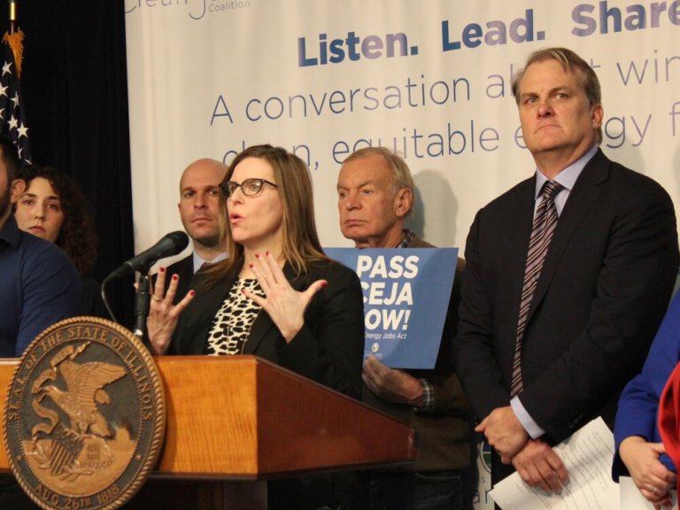 State Rep. Ann Williams and CUB Executive Director David Kolata (right) have also taken some recent shots at the Federal Energy Regulatory Commission. (One Illinois/Ted Cox)